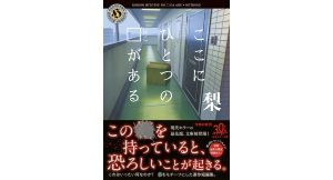ここにひとつの□がある　梨 (著)　 KADOKAWA (2024/11/25)　770円
