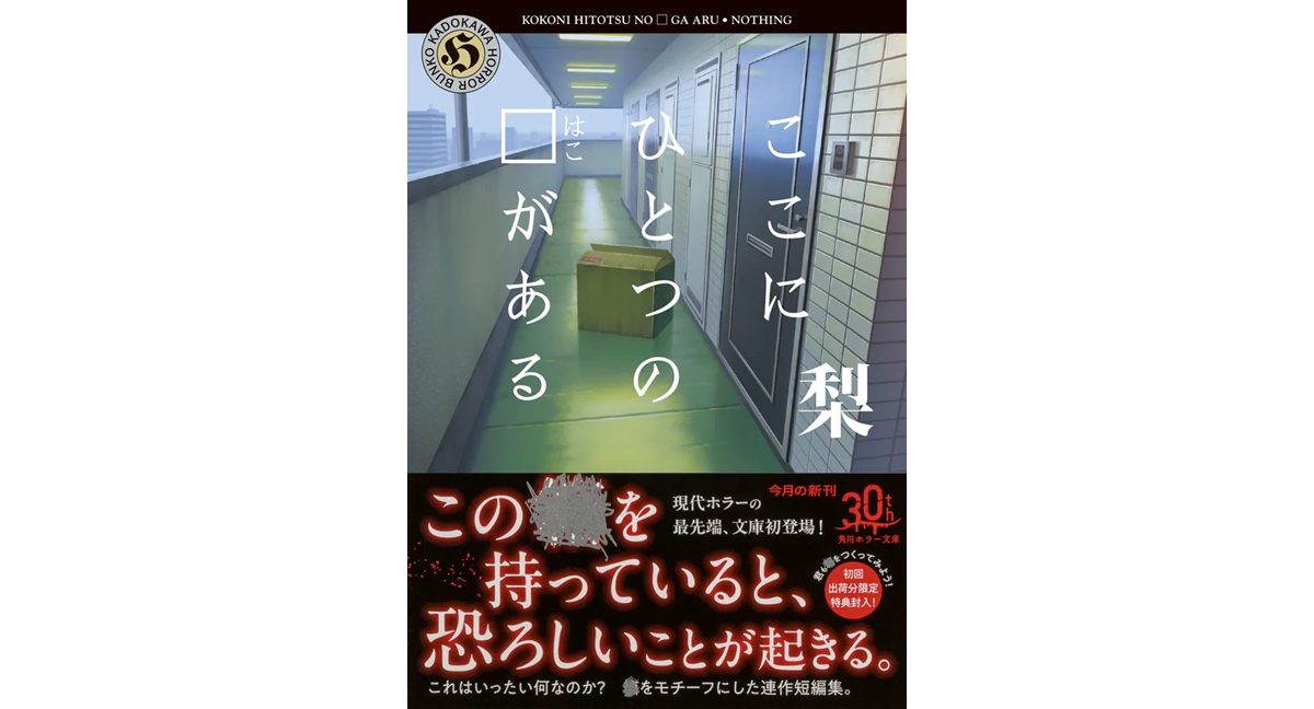 ここにひとつの□がある　梨 (著)　 KADOKAWA (2024/11/25)　770円
