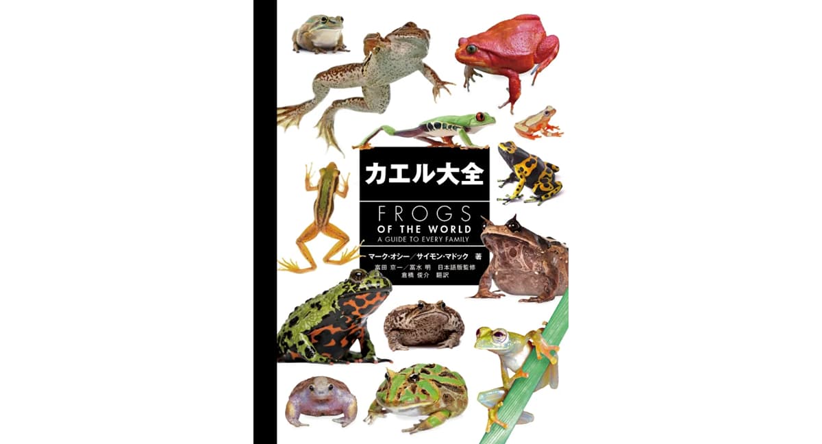 カエル大全 FROGS OF THE WORLD マーク・オシー (著), サイモン・マドック (著) エムピージェー (2025/2/26) 4,950円