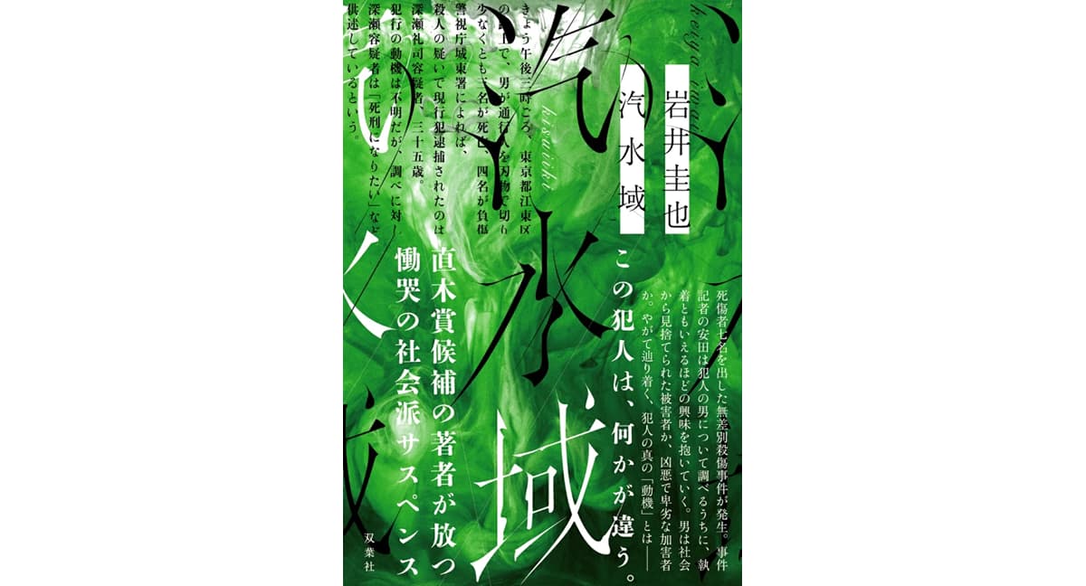 汽水域　岩井圭也 (著)　双葉社 (2025/2/19)　2,090円