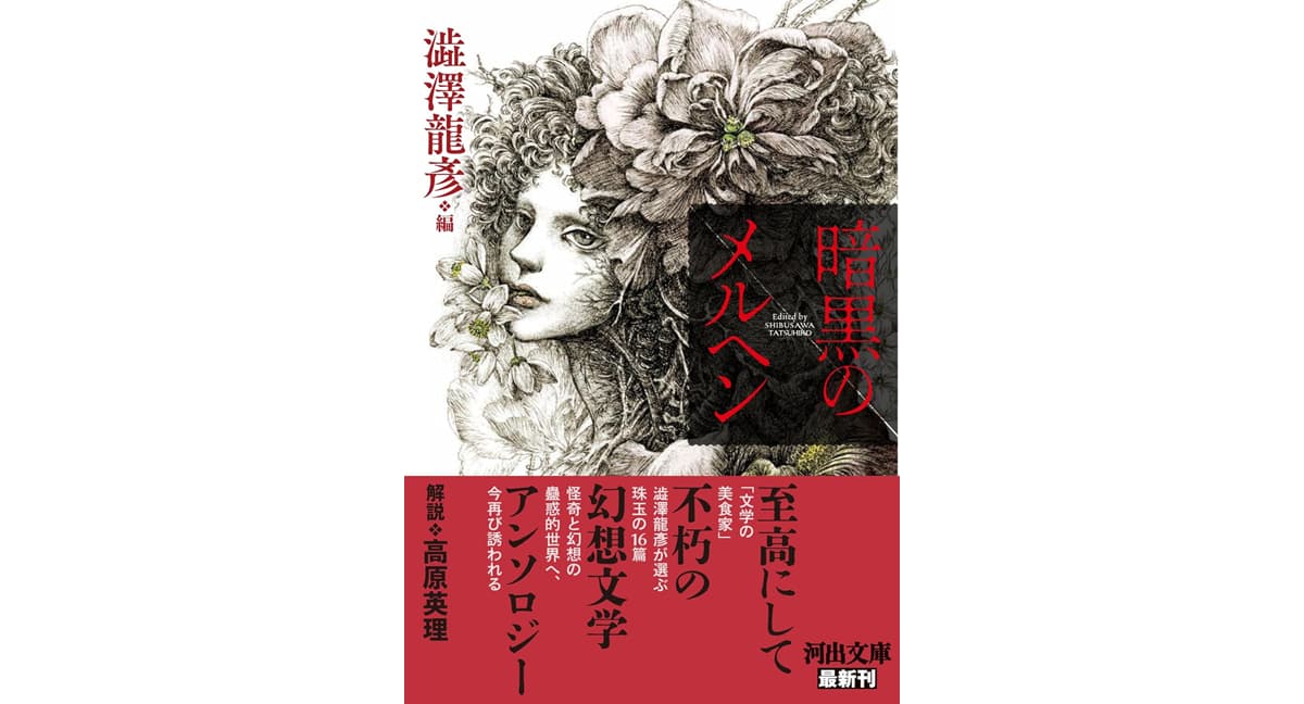 暗黒のメルヘン　澁澤龍彦 (編集)　河出書房新社 (2025/3/6)　1,320円
