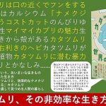 カタツムリの世界の描き方　野島智司 (著)　三才ブックス (2025/5/7)　1,980円